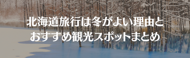 北海道旅行は冬がよい理由とおすすめ観光スポットまとめ