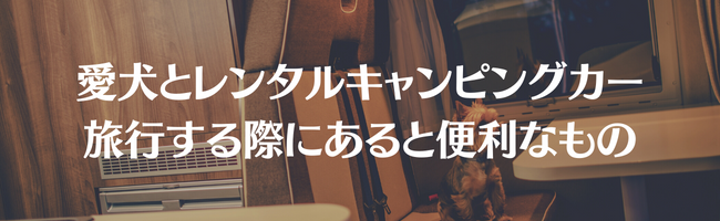 愛犬とレンタルキャンピングカー旅行する際にあると便利なもの